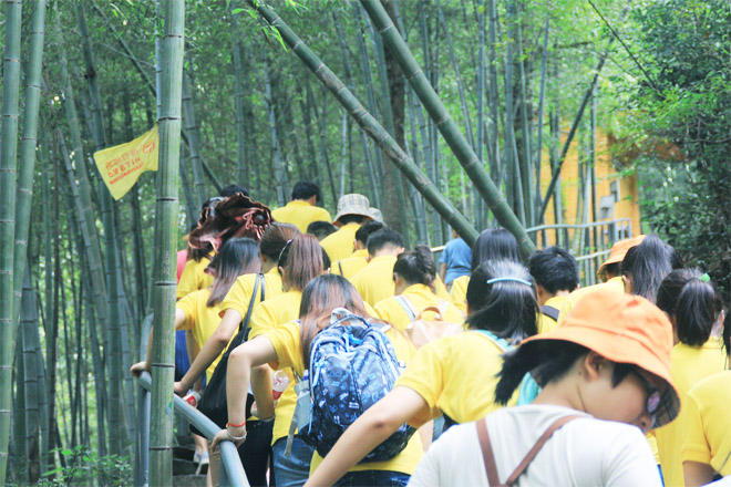 Stake(中国区)官方网站